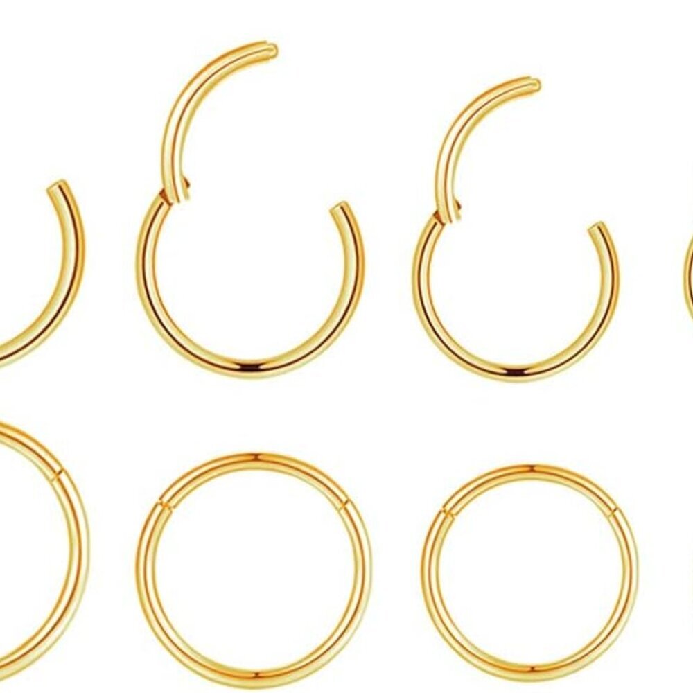 4Pairs/Pcs 18G Surgical Steel Hinged Clicker Segment Nose Rings Hoop Helix Carti